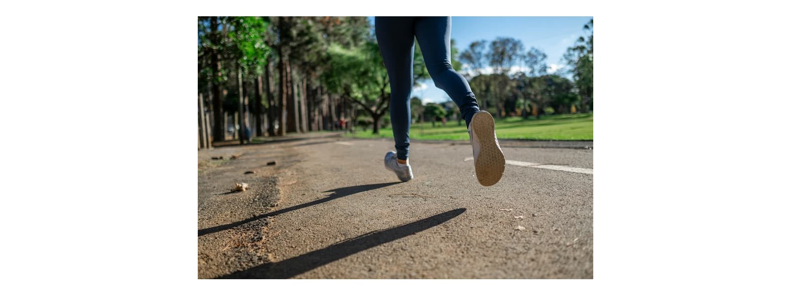 Gratis l�beprogram for begyndere